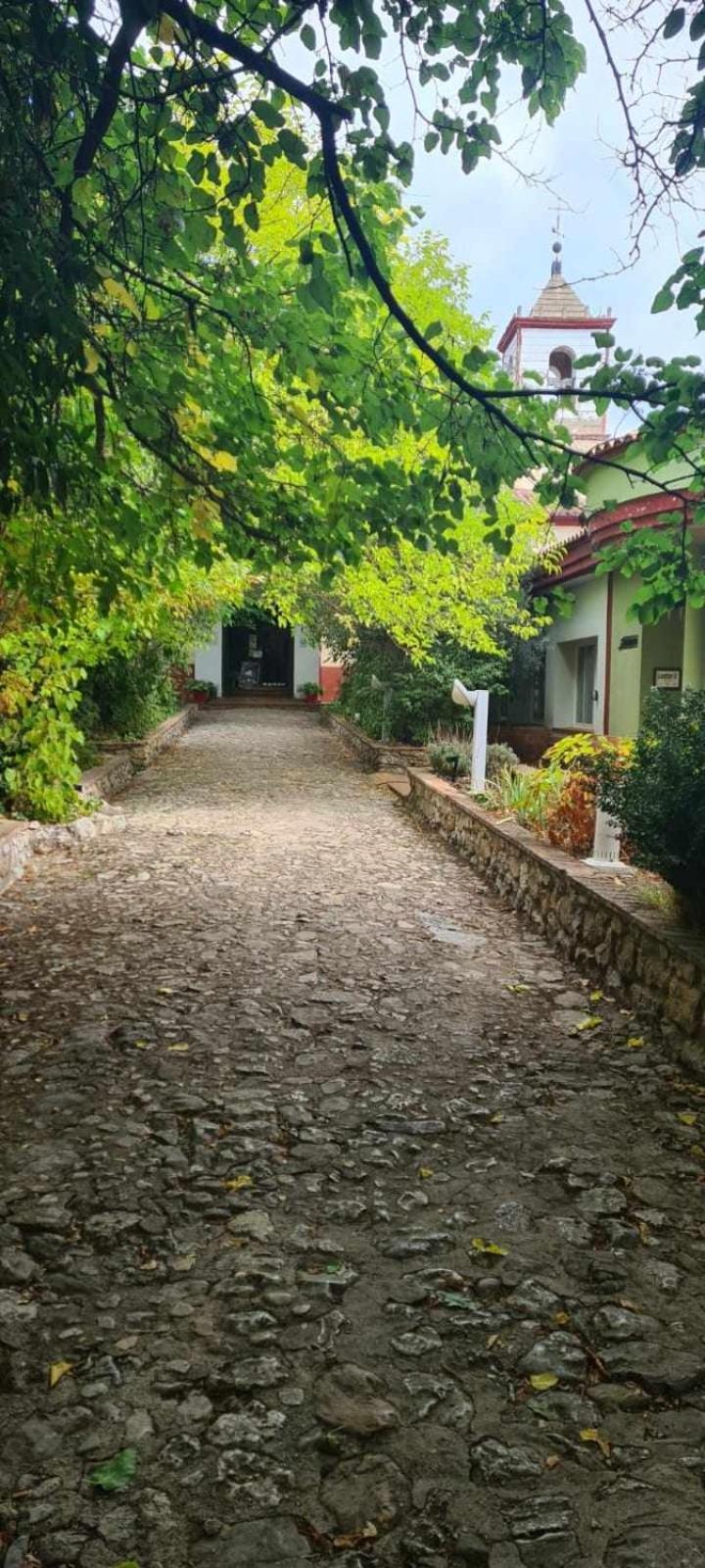 Apartamento Cobre Riópar Buitenkant foto